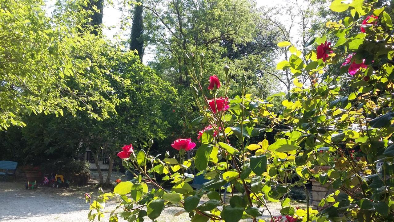 Agriturismo Alle Rose Volterra Exteriér fotografie