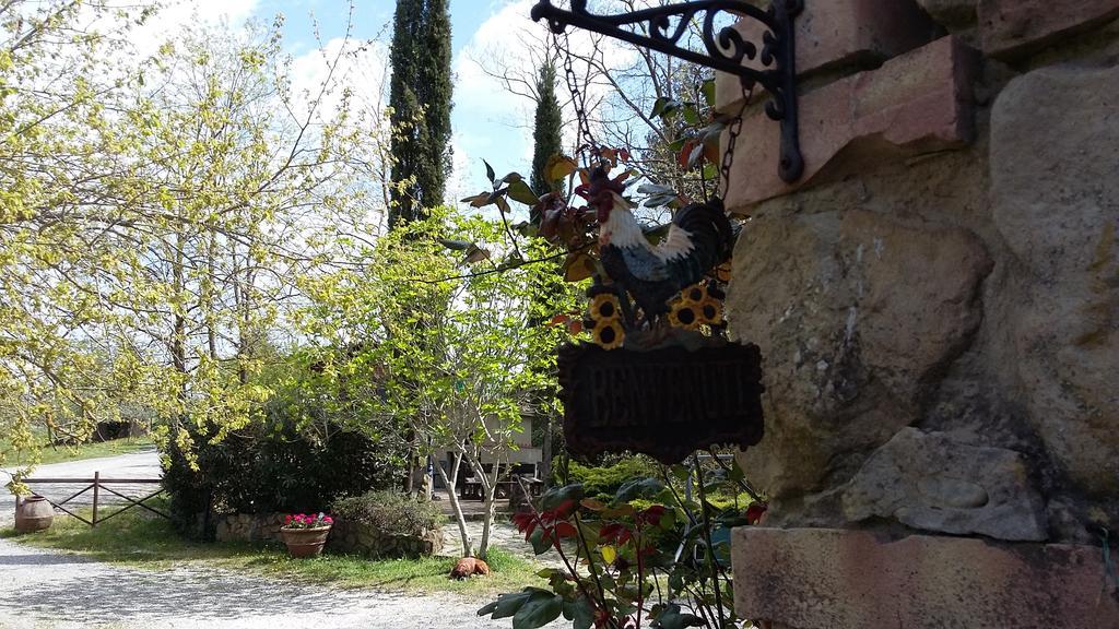 Agriturismo Alle Rose Volterra Exteriér fotografie